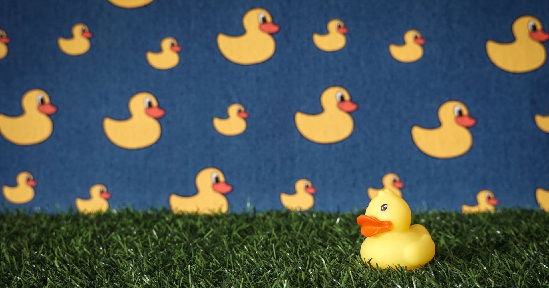 A single real rubber duck stands apart from a wall of identical duck illustrations — the canonical version among duplicates
