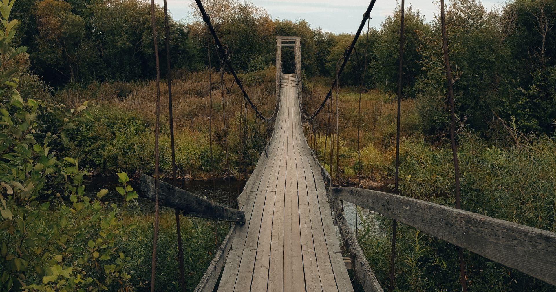 A wooden suspension bridge spanning a forested valley — like external links pointing to authoritative sources